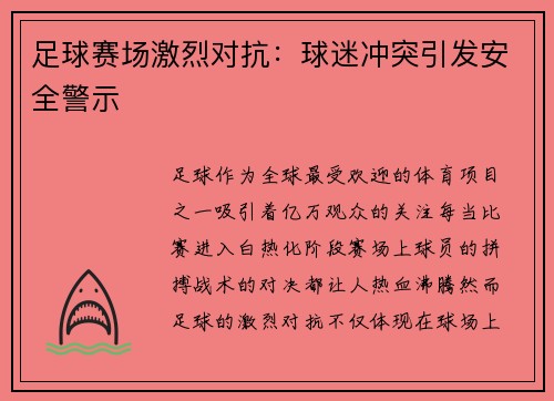 足球赛场激烈对抗：球迷冲突引发安全警示